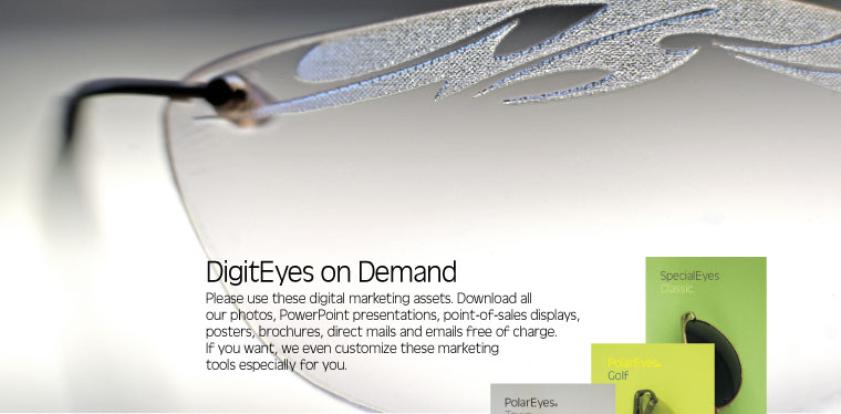 DigitEyes on Demand